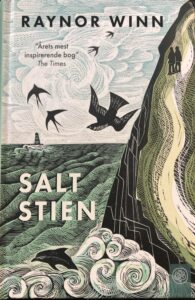 Saltstien - billede af bogen